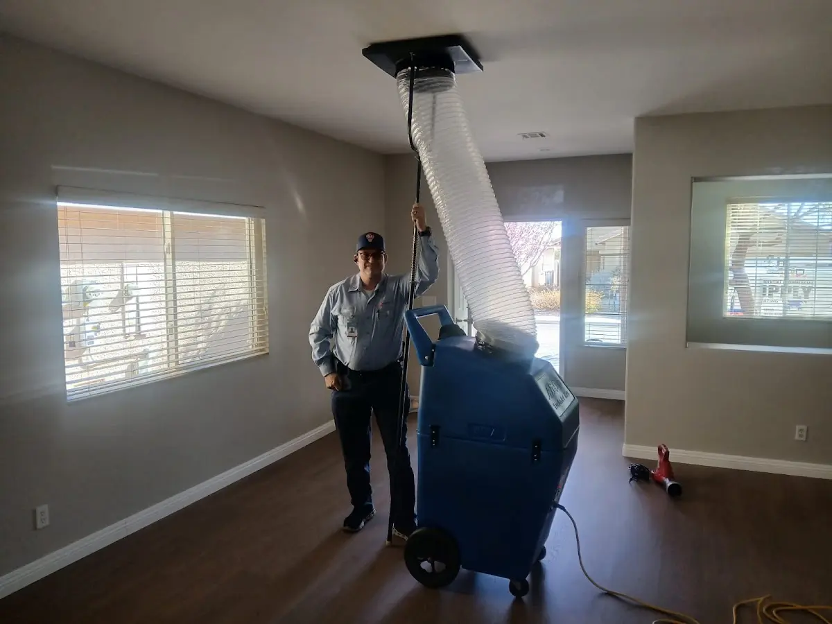 Professional Dryer Vent Cleaning work inside a Bainbridge home